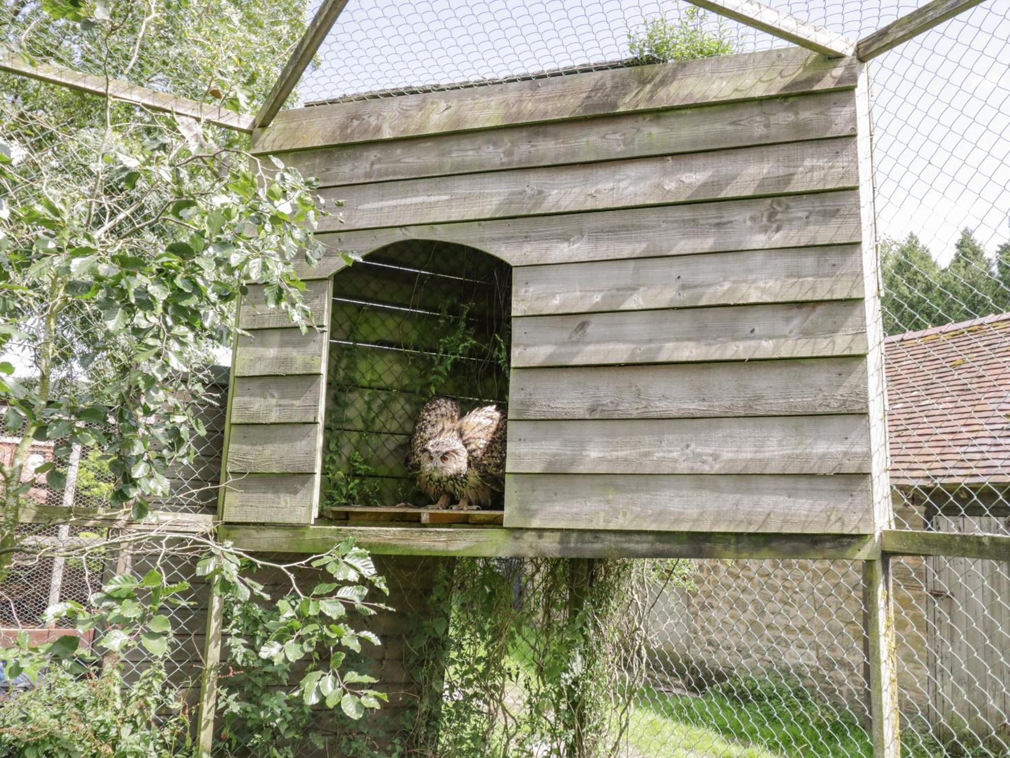 Kite'S Nest Villa Eaton  Exterior foto